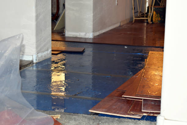 Professional Flood Damage Restoration technician working in New Tazewell, TN